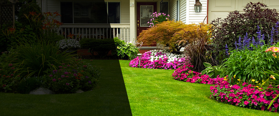 Paulina Landscapers