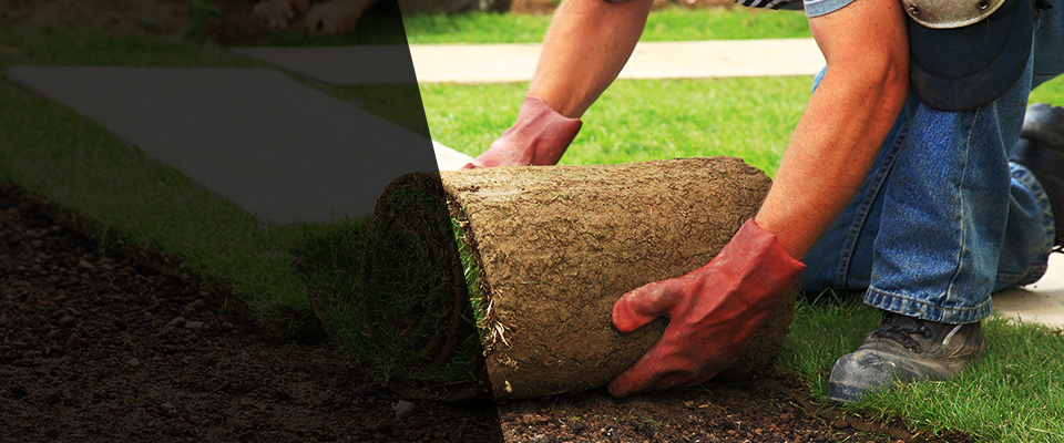 Paulina Landscapers